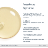 Essentials Regimen Kit - ANTI-AGEING KIT - Circadia