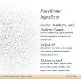 Essentials Regimen Kit - PIGMENTATION KIT - Circadia