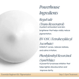 Essentials Regimen Kit - PIGMENTATION KIT - Circadia