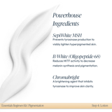 Essentials Regimen Kit - PIGMENTATION KIT - Circadia