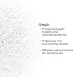 Blueberry & White Tea Hydrating Mist - Retail