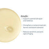 Cyto-Comm Revitalising Serum - Retail