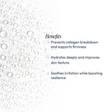 White Willow & Juniper Clearing Mist - Retail