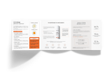 C25 Cream "NEW Formula" Leaflet - Dermaceutic
